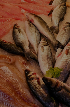 AQUATIC PRODUCTS